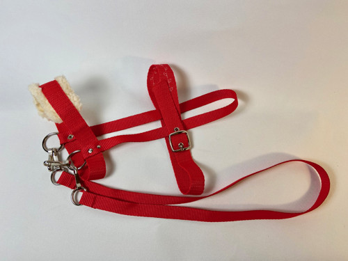 Uzdečka- pro hobby horse — foto 5