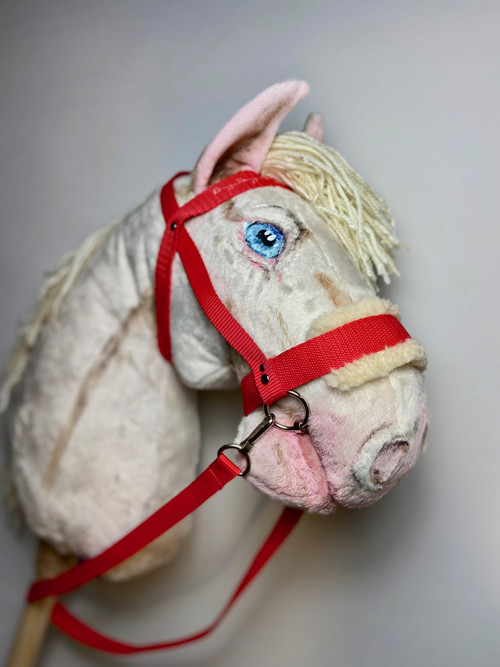 Uzdečka- pro hobby horse — foto 3