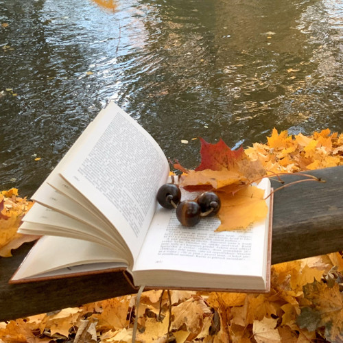 Čokoláda - náhrdelník hedvábí a dřevo — foto 4