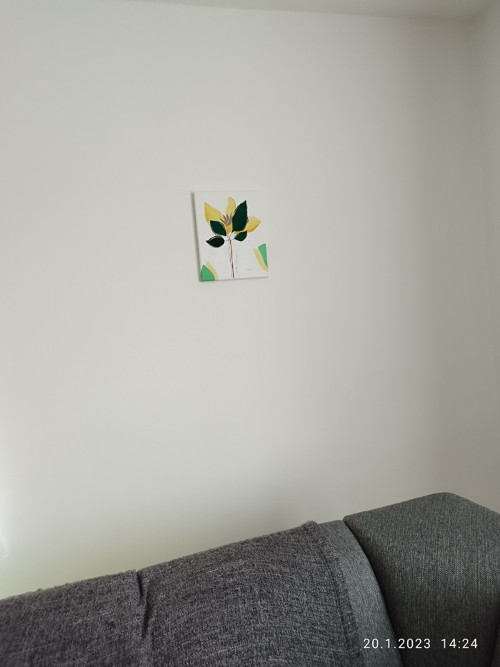 Květina — foto 3