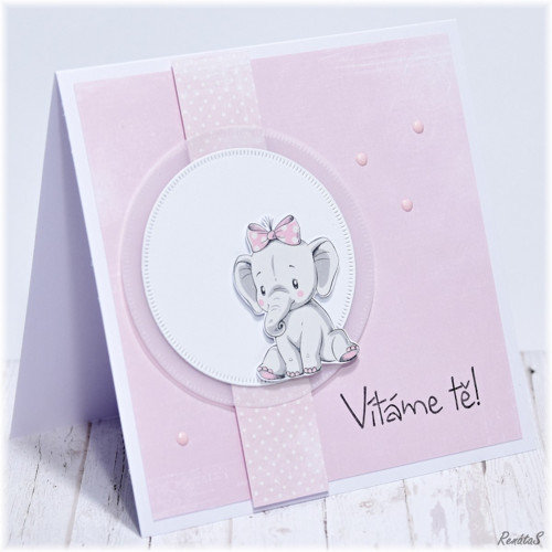 Přání - Baby slůně I. — foto 4