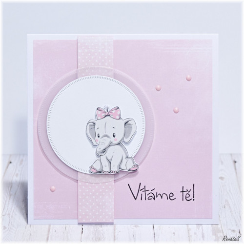 Přání - Baby slůně I. — foto 2