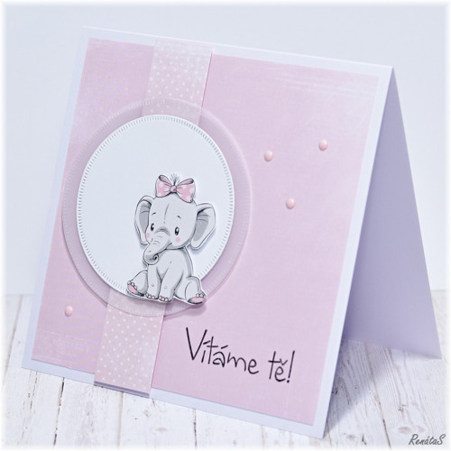 Přání - Baby slůně I. — foto 3