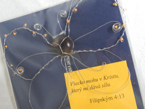 Drátkovaný motýl — foto 2