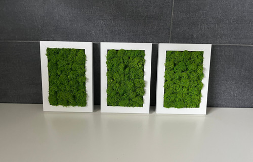 Mechový Obraz – Sada 3 Mini Obrazů — foto 2