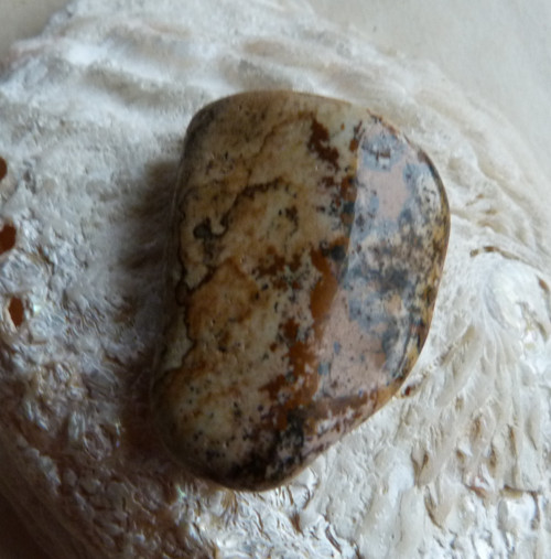 Jaspis obrázkový - 4,1 cm — foto 3