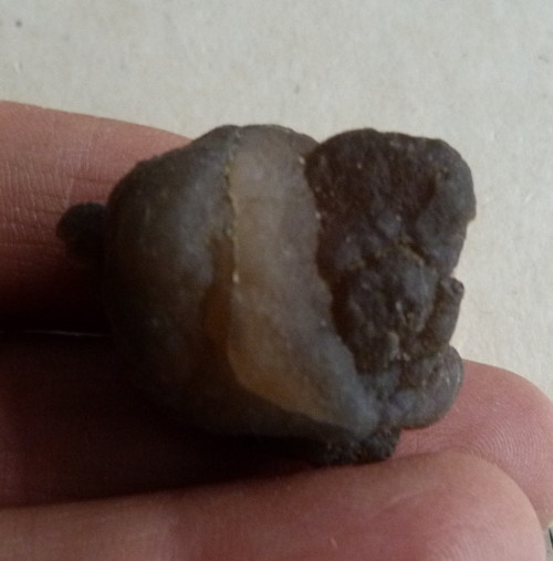 Chalcedon - 3,1 cm — foto 2