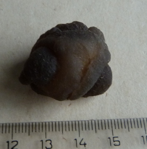 Chalcedon - 3,1 cm — foto 4