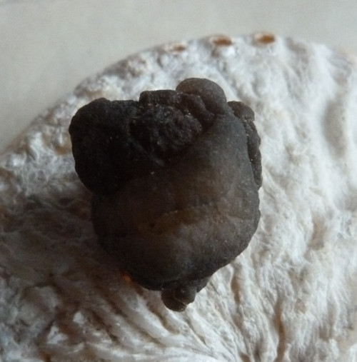 Chalcedon - 3,1 cm — foto 6