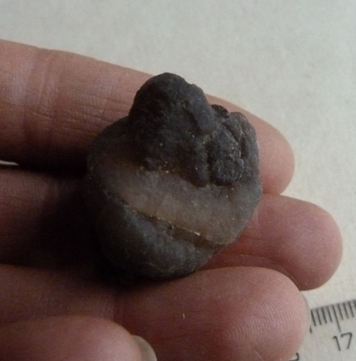 Chalcedon - 3,1 cm — foto 3