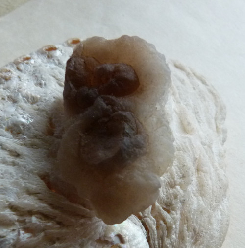 Chalcedon - 4,2 cm — foto 3