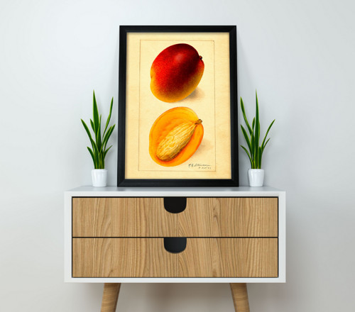 Vintage plakát Mango — foto 4