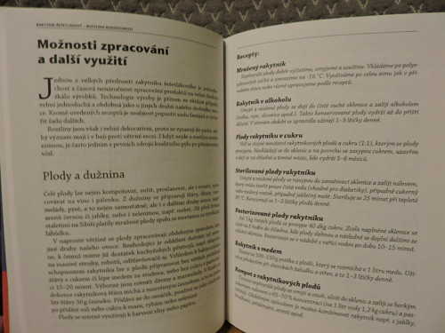 Rakytník Řešetlákový — foto 2