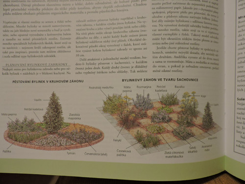 Rok V Zahradě — foto 2