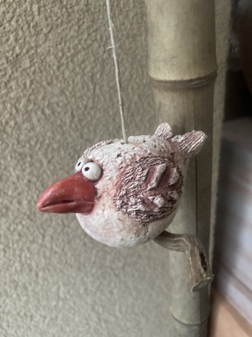 Pták s červeným zobákem — foto 2