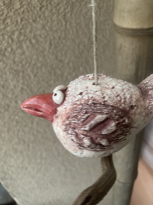 Pták s červeným zobákem — foto 3