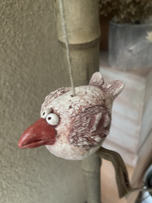 Pták s červeným zobákem — foto 5