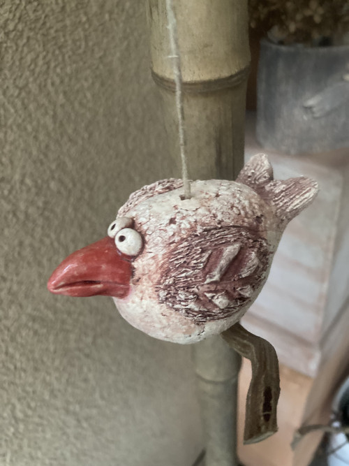 Pták s červeným zobákem — foto 6
