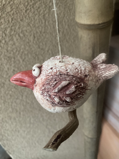 Pták s červeným zobákem — foto 4