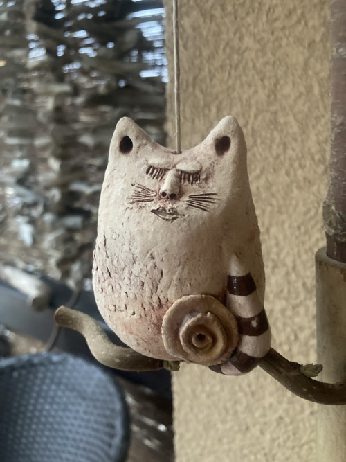 Kočka na větvi — foto 5