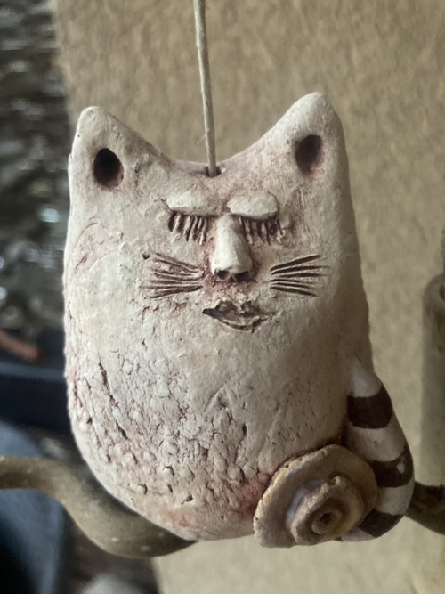 Kočka na větvi — foto 3