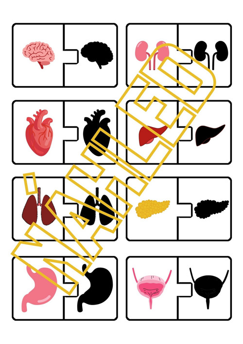 Lidské tělo, stínové puzzle — foto 2