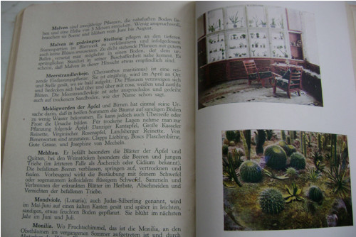 Das Goldene Vitello - Buch der Hausfrau — foto 4