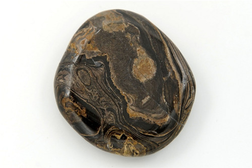 Stromatolit 4,1 cm — foto 2
