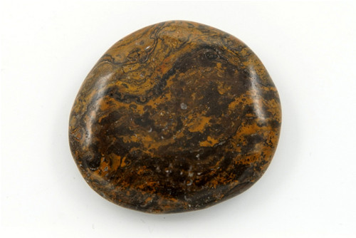 Stromatolit 4,1 cm — foto 2