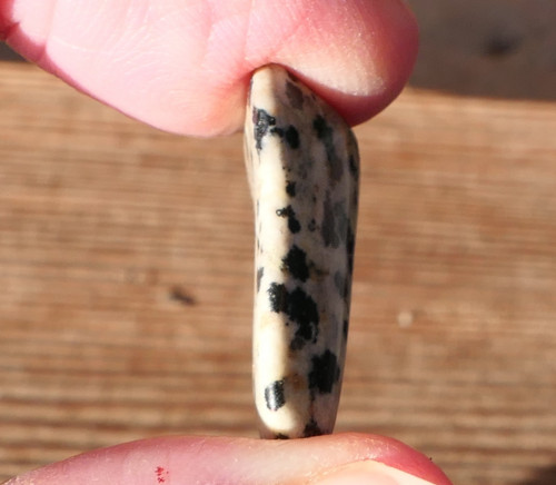 Jaspis dalmatin (22 mm) J8547 — foto 2