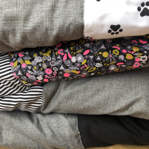 Dog and dots — foto 2