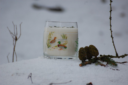 Kachní pár — foto 4