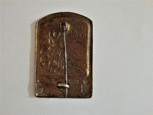 ISONZO ARMEE - odznak — foto 2