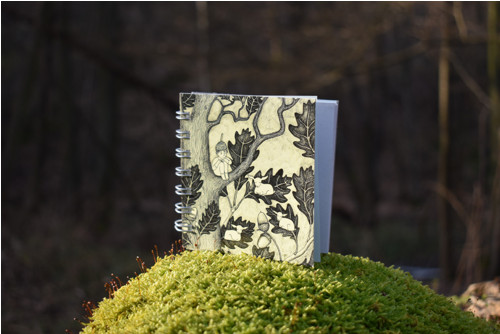 Notes střední Na dubu — foto 4