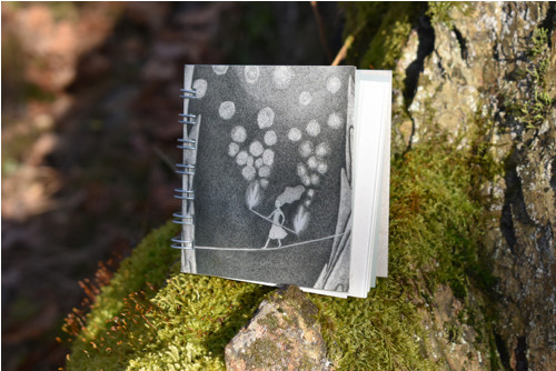 Notes střední Provazochodkyně — foto 2