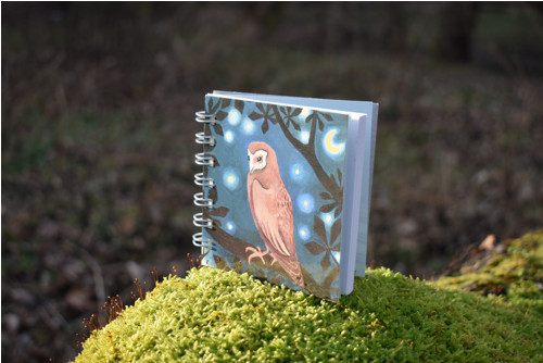Notes střední Sova — foto 3