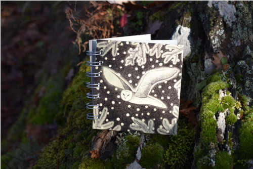 Notes střední Sova sněží — foto 4