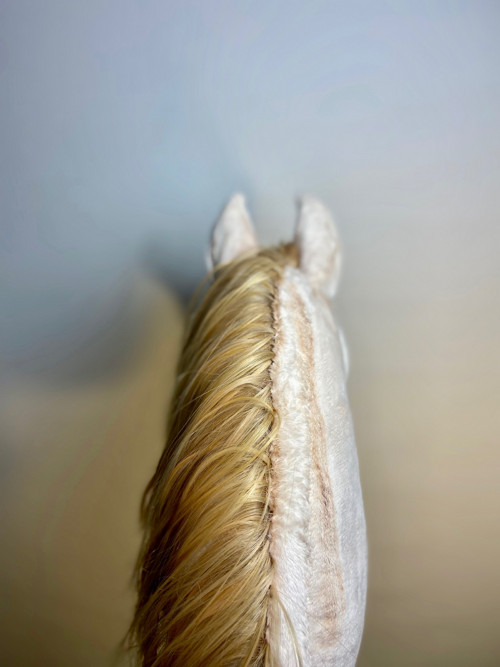 Perlino-Hobby horse — foto 6