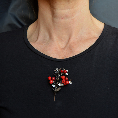 Brož brusinky — foto 5