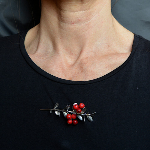 Brož brusinky — foto 6