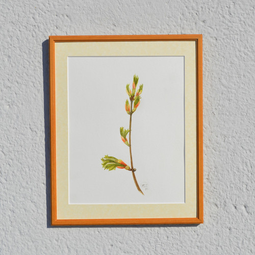 Originál, akvarel - jarní - 28 x 21 cm — foto 2