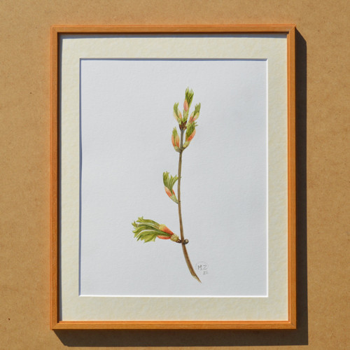 Originál, akvarel - jarní - 28 x 21 cm — foto 4
