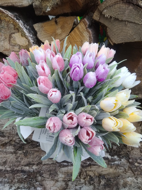 Mini tulipán 3ks- sv.červený — foto 3