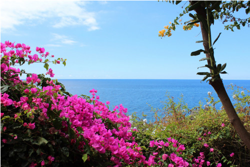 Hedvábný šátek - Madeira — foto 6