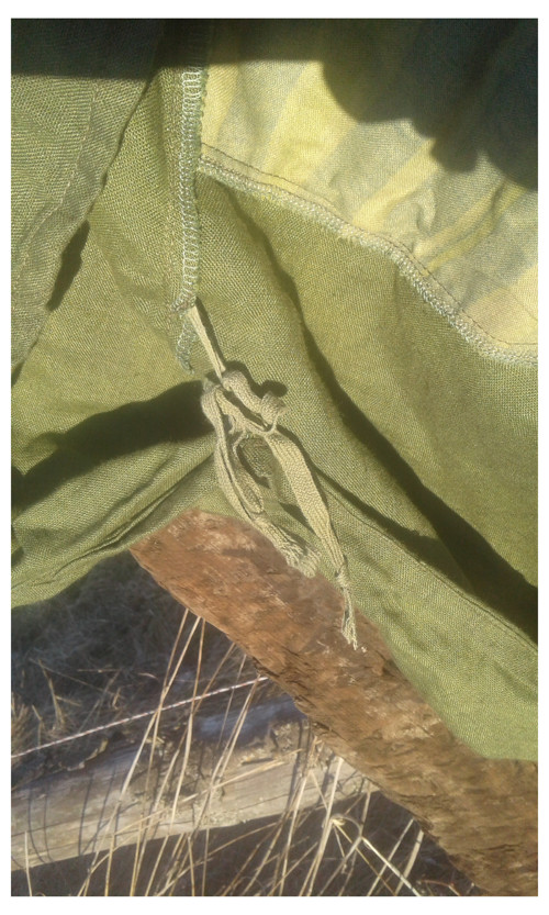 Velekrab japonský — foto 3
