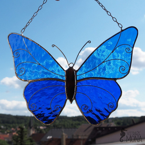 Motýl Alfréd modrý — foto 2