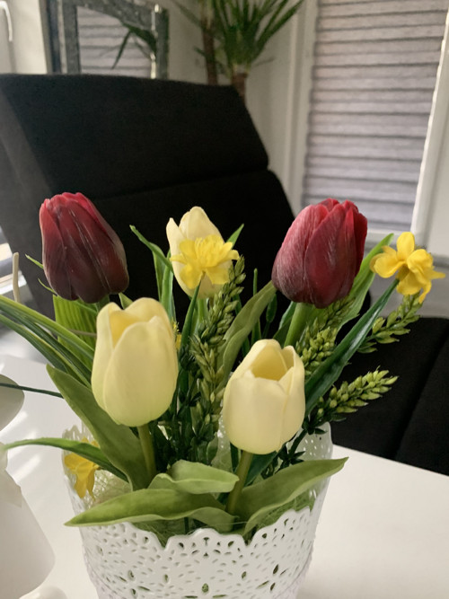Tulipány — foto 3
