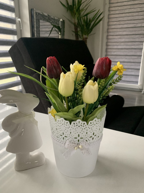 Tulipány — foto 4
