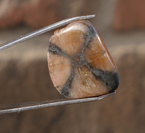 Chiastolit (19 mm) J8856 — foto 4