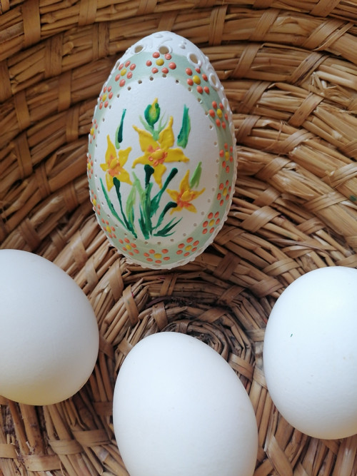 Husí kraslice (narcis) — foto 3